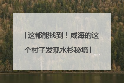 这都能找到！威海的这个村子发现水杉秘境