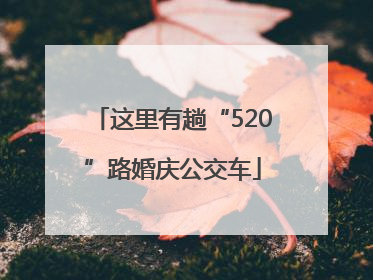 这里有趟“520”路婚庆公交车