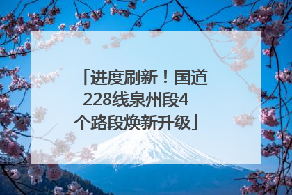 进度刷新！国道228线泉州段4个路段焕新升级