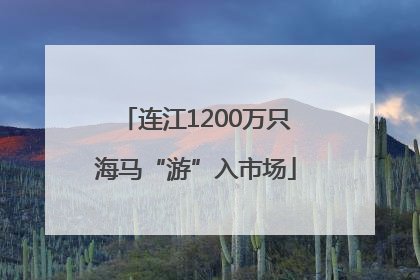 连江1200万只海马“游”入市场