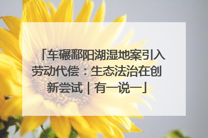 车碾鄱阳湖湿地案引入劳动代偿：生态法治在创新尝试｜有一说一