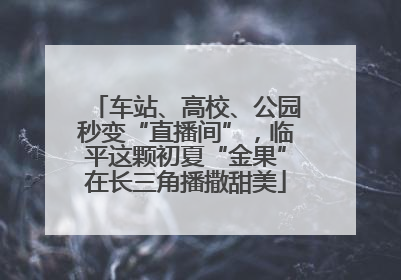 车站、高校、公园秒变“直播间”，临平这颗初夏“金果”在长三角播撒甜美