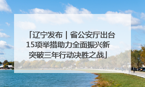 辽宁发布｜省公安厅出台15项举措助力全面振兴新突破三年行动决胜之战