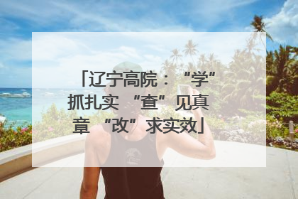 辽宁高院：“学”抓扎实 “查”见真章 “改”求实效