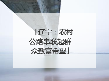 辽宁：农村公路串联起群众致富希望