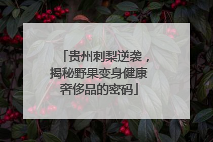贵州刺梨逆袭，揭秘野果变身健康奢侈品的密码
