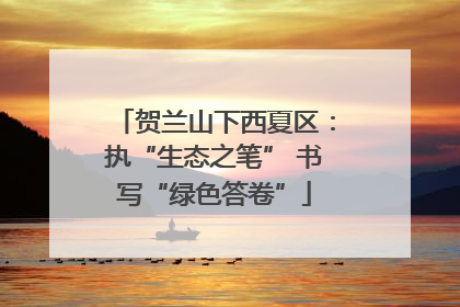 贺兰山下西夏区：执“生态之笔” 书写“绿色答卷”