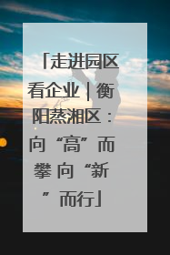 走进园区看企业｜衡阳蒸湘区：向“高”而攀 向“新”而行