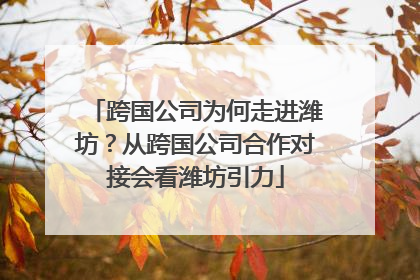 跨国公司为何走进潍坊？从跨国公司合作对接会看潍坊引力