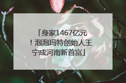 身家1467亿元！泡泡玛特创始人王宁成河南新首富