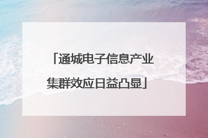 通城电子信息产业集群效应日益凸显