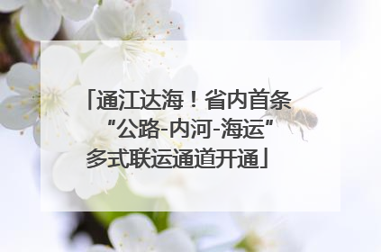 通江达海！省内首条“公路-内河-海运”多式联运通道开通