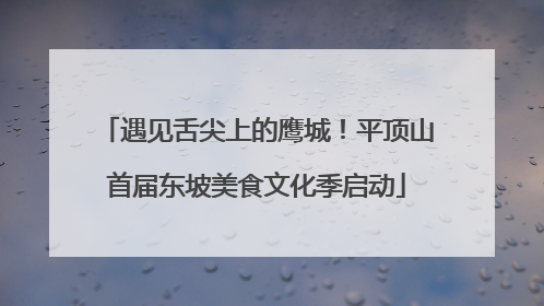 遇见舌尖上的鹰城！平顶山首届东坡美食文化季启动