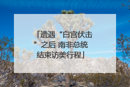 遭遇“白宫伏击”之后 南非总统结束访美行程