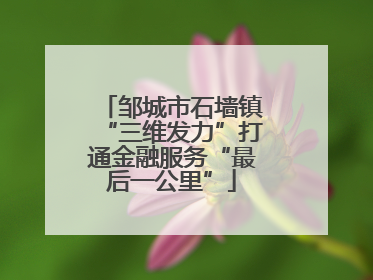 邹城市石墙镇“三维发力”打通金融服务“最后一公里”