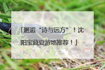 邂逅“诗与远方”！沈阳宝藏夏游地推荐！