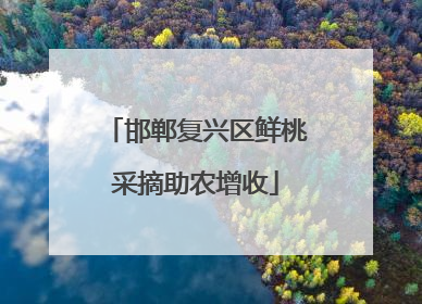 邯郸复兴区鲜桃采摘助农增收