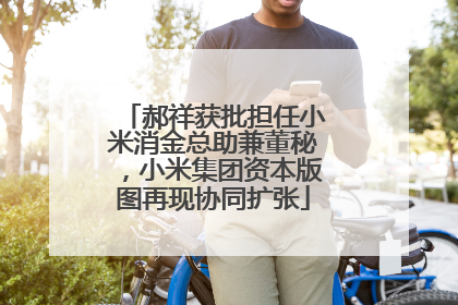 郝祥获批担任小米消金总助兼董秘，小米集团资本版图再现协同扩张