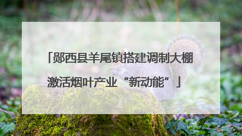 郧西县羊尾镇搭建调制大棚激活烟叶产业“新动能”