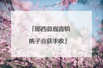 郧西县观音镇桃子喜获丰收
