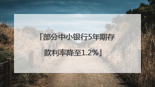 部分中小银行5年期存款利率降至1.2%