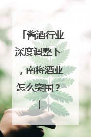 酱酒行业深度调整下，南将酒业怎么突围？