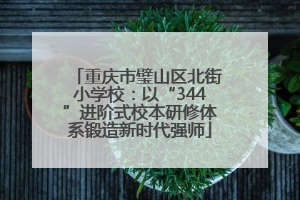 重庆市璧山区北街小学校：以“344”进阶式校本研修体系锻造新时代强师