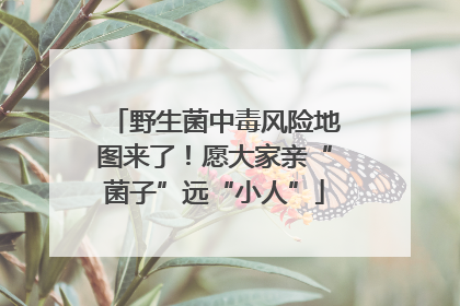 野生菌中毒风险地图来了！愿大家亲“菌子”远“小人”