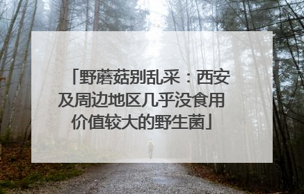 野蘑菇别乱采：西安及周边地区几乎没食用价值较大的野生菌