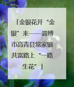 金银花开“金银”来——淄博市高青县常家镇共富路上“一路生花”
