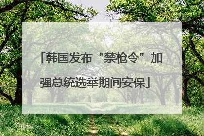 韩国发布“禁枪令”加强总统选举期间安保
