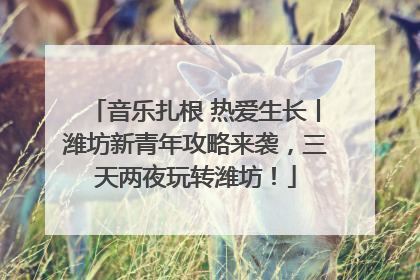 音乐扎根 热爱生长丨潍坊新青年攻略来袭，三天两夜玩转潍坊！