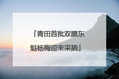 青田首批双膜东魁杨梅迎来采摘
