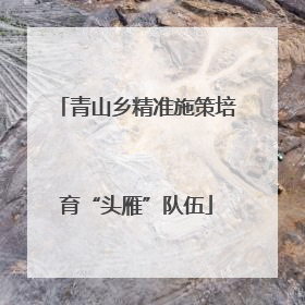 青山乡精准施策培育“头雁”队伍