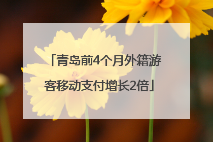 青岛前4个月外籍游客移动支付增长2倍