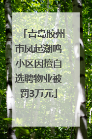 青岛胶州市凤起潮鸣小区因擅自选聘物业被罚3万元
