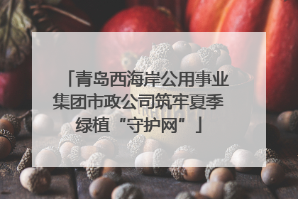 青岛西海岸公用事业集团市政公司筑牢夏季绿植“守护网”