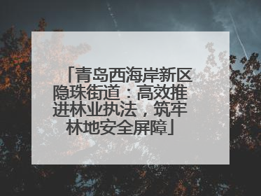青岛西海岸新区隐珠街道：高效推进林业执法，筑牢林地安全屏障