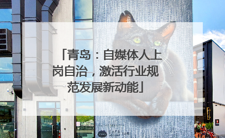 青岛：自媒体人上岗自治，激活行业规范发展新动能
