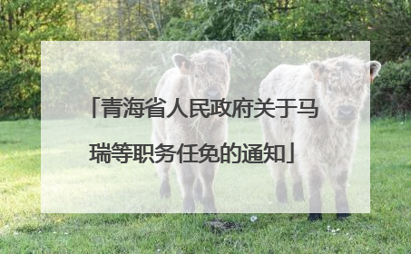 青海省人民政府关于马瑞等职务任免的通知