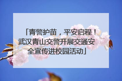 青警护苗，平安启程！武汉青山交警开展交通安全宣传进校园活动