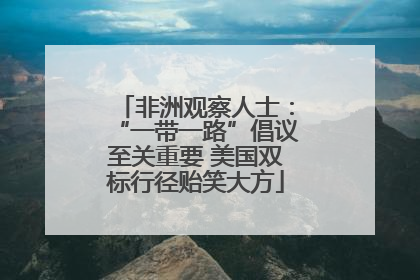 非洲观察人士：“一带一路”倡议至关重要 美国双标行径贻笑大方