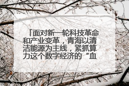 面对新一轮科技革命和产业变革，青海以清洁能源为主线，紧抓算力这个数字经济的“血液”、科技主权的“筹码”、产业升级的“杠杆”、绿色转型的“支点”，勇于撬动国家“双碳”战略、“东数西算”工程重大发展新机遇