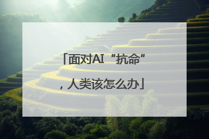 面对AI“抗命”，人类该怎么办