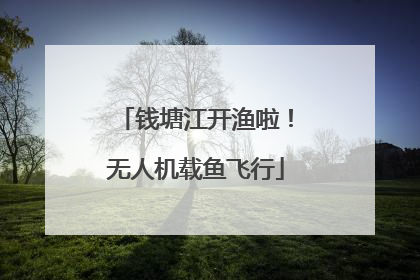 钱塘江开渔啦！无人机载鱼飞行