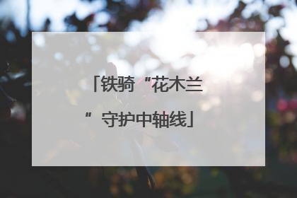 铁骑“花木兰”守护中轴线