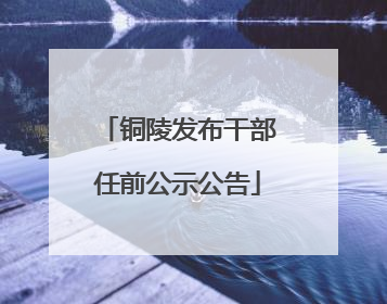 铜陵发布干部任前公示公告