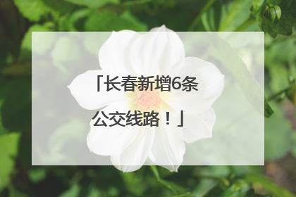 长春新增6条公交线路！