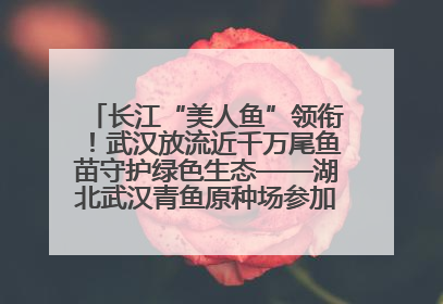 长江“美人鱼”领衔！武汉放流近千万尾鱼苗守护绿色生态——湖北武汉青鱼原种场参加2025年“全国放鱼日”增殖放流活动