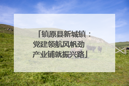 镇原县新城镇：党建领航风帆劲 产业铺就振兴路